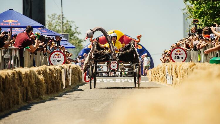 Racers at the Red Bull Box Cart Race can go as wild as ostriches when making their carts Racers at the Red Bull Box Cart Race can go as wild as ostriches when making their carts