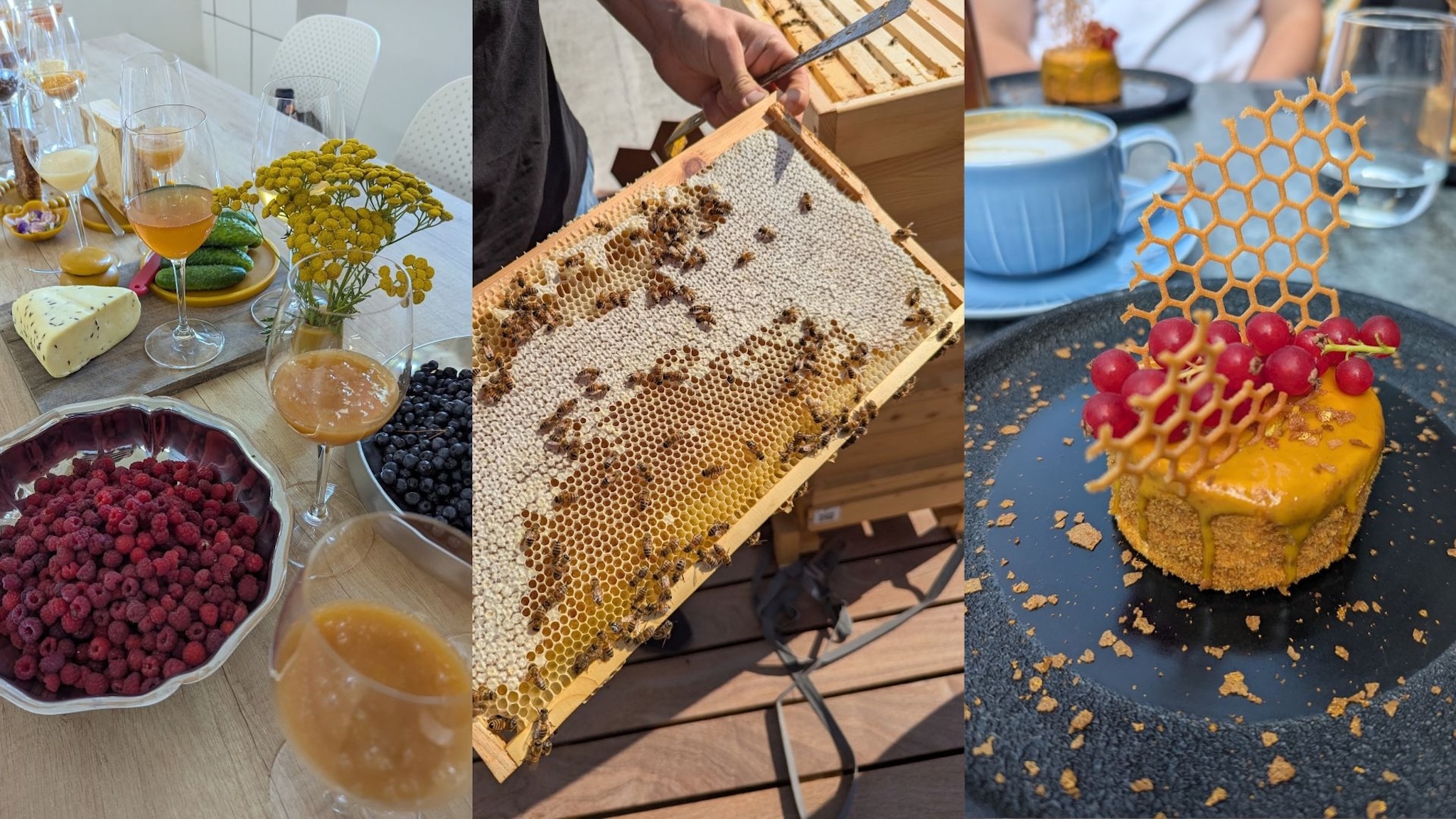 timeout.com - Jessica Phillips - Bee tourism is on the rise - I went to Lithuania to see what all the buzz is about