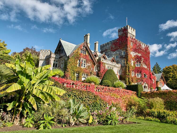 Two Vancouver Island towns are among Canada’s hottest fall destinations