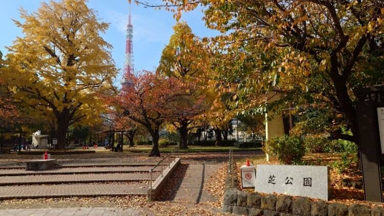 芝公園 芝公園