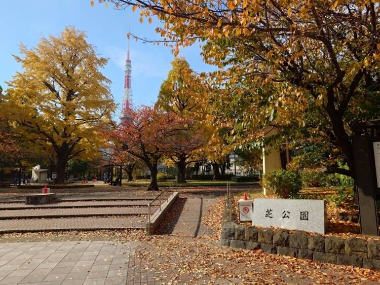 芝公園 芝公園