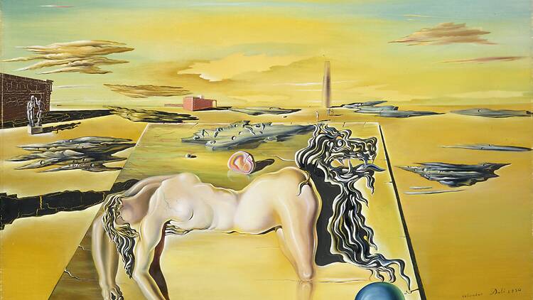 Salvador Dalí Dormeuse, cheval, lion (Invisible Sleeping Woman, Horse, Lion) 1930