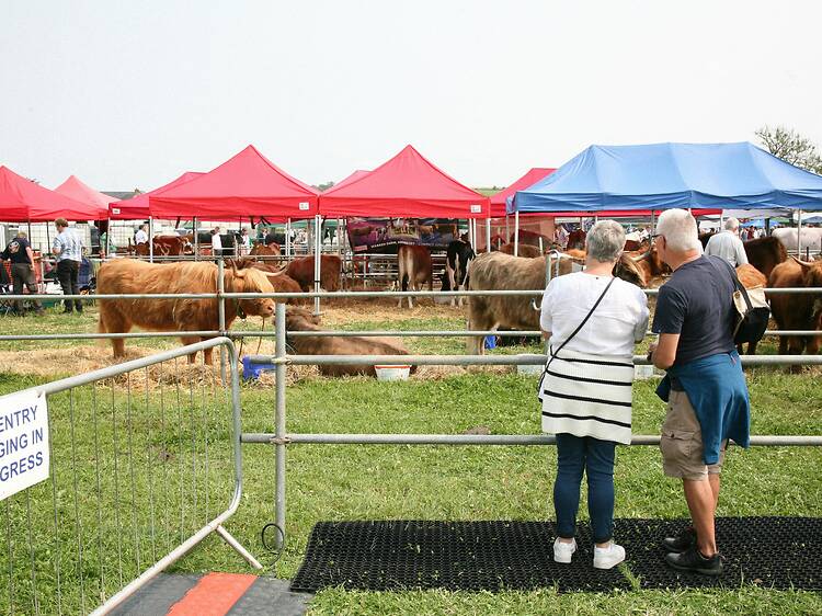Out and About in Durban: Things to do this weekend Out and About in Durban: Things to do this weekend