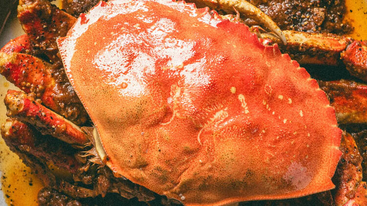 Dungeness crab.