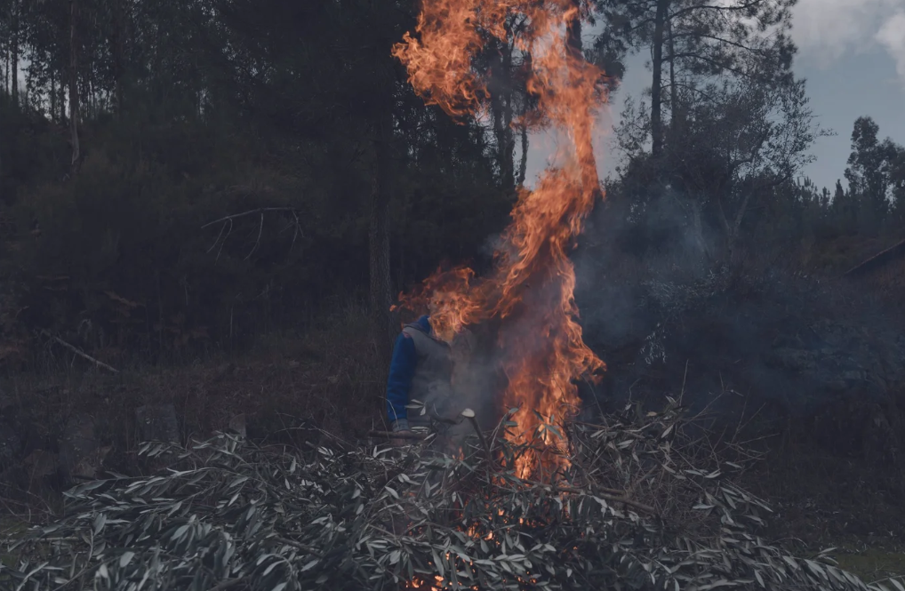 MFA – Mostra de Fotografia e Autores