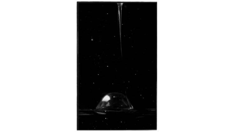 高木由利子 写真展 chaoscosmos vol.3 ‐ visible viscosity 可視化された粘性 - 高木由利子 写真展 chaoscosmos vol.3 ‐ visible viscosity 可視化された粘性 -