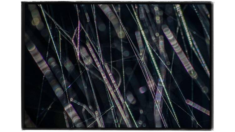 高木由利子 写真展 chaoscosmos vol.3 ‐ visible viscosity 可視化された粘性 -