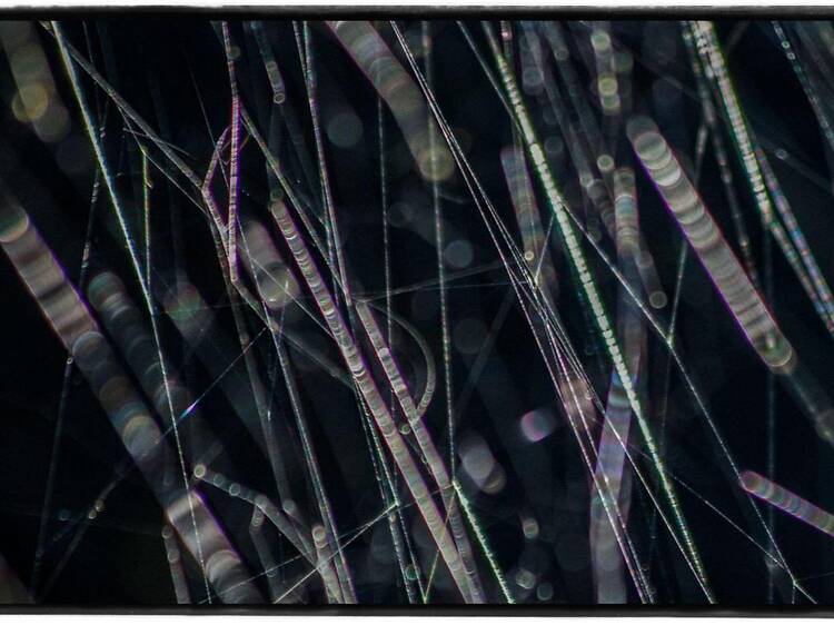 高木由利子 写真展 chaoscosmos vol.3 ‐ visible viscosity 可視化された粘性 -
