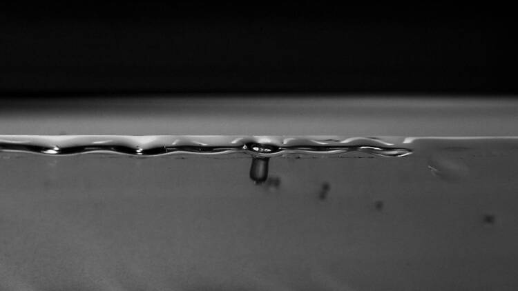 高木由利子 写真展 chaoscosmos vol.3 ‐ visible viscosity 可視化された粘性 - 高木由利子 写真展 chaoscosmos vol.3 ‐ visible viscosity 可視化された粘性 -