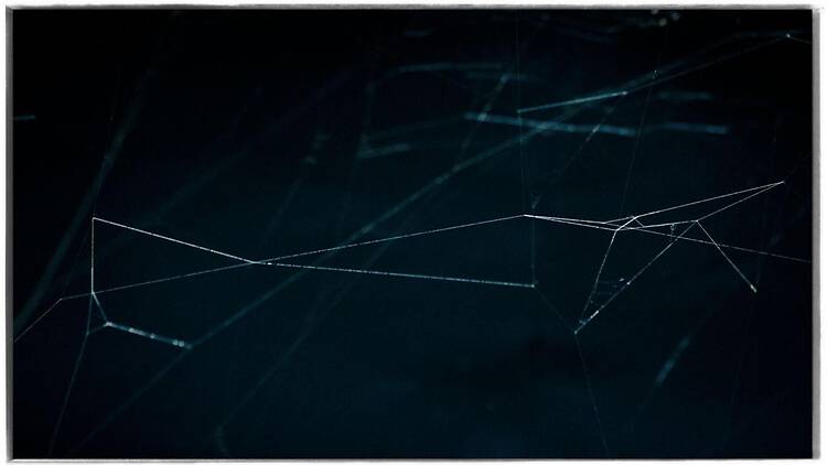 高木由利子 写真展 chaoscosmos vol.3 ‐ visible viscosity 可視化された粘性 - 高木由利子 写真展 chaoscosmos vol.3 ‐ visible viscosity 可視化された粘性 -