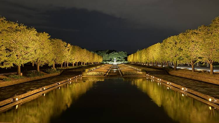 Autumn Night Walk at Showa Kinen Park Autumn Night Walk at Showa Kinen Park