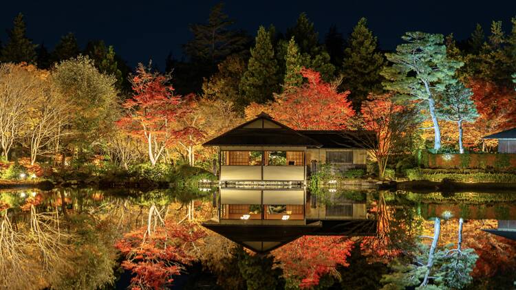 Autumn Night Walk at Showa Kinen Park Autumn Night Walk at Showa Kinen Park