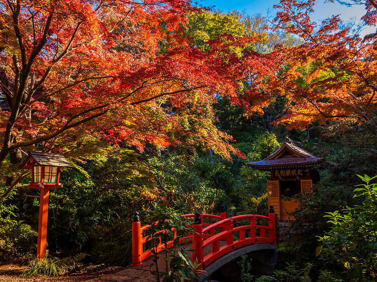 Todoroki Valley Todoroki Valley
