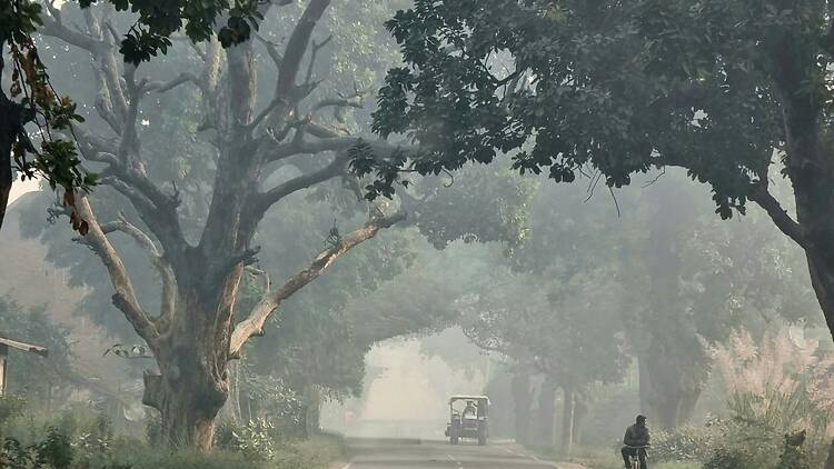 Dense, polluted air engulfs the road