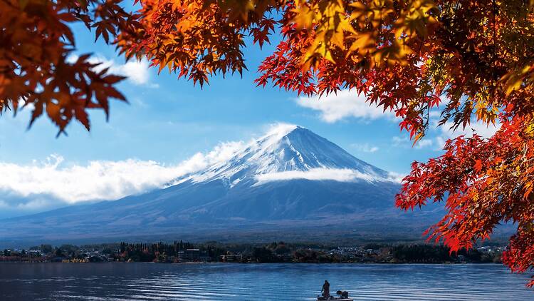 Here's the official 2026 forecast for autumn leaves in Japan – updated October 1