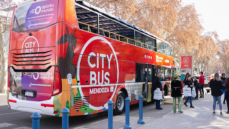 Mendoza City Bus: the city from a different perspective