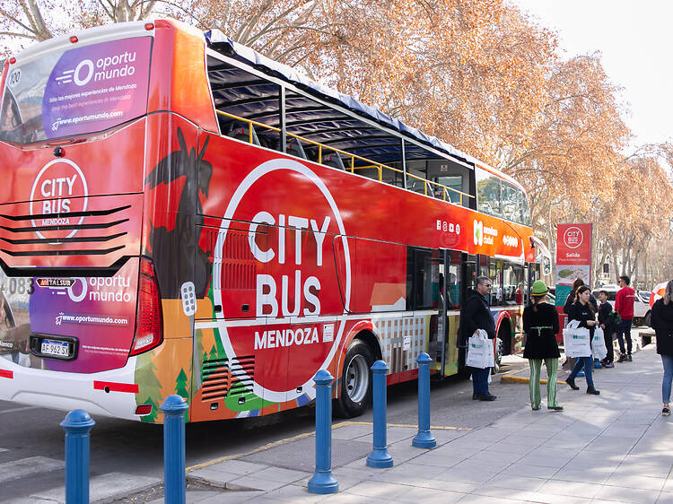 Mendoza City Bus: the city from a different perspective