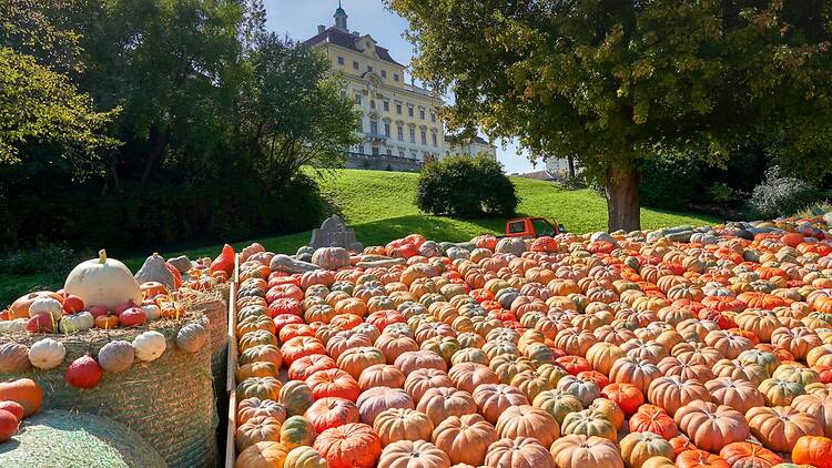 Ludwigsburg, Germany