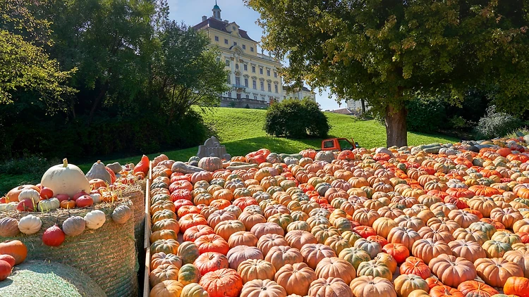 Ludwigsburg, Germany Ludwigsburg, Germany