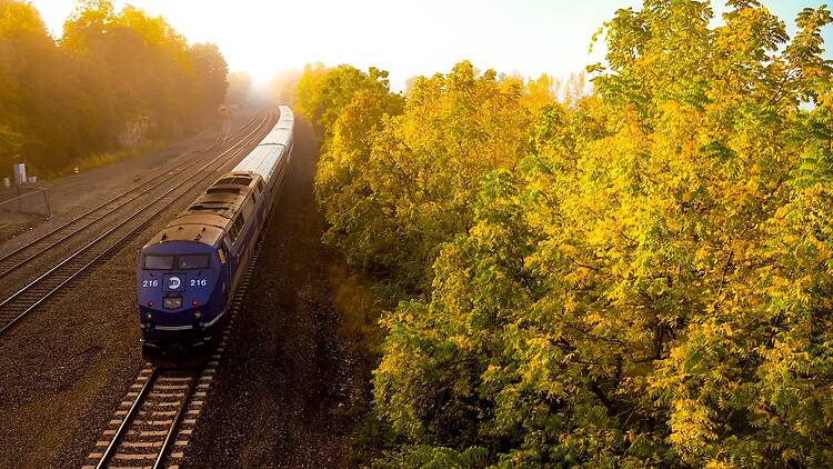 Metro-North fall foliage train
