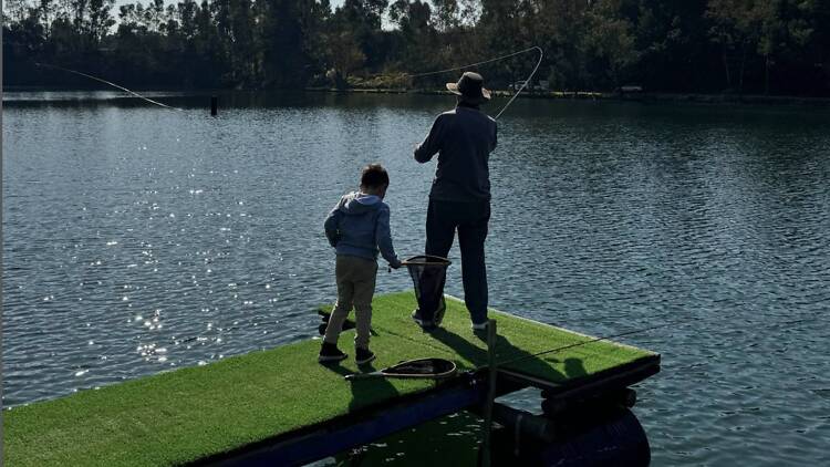A grandfather and grandson bonding over a fishing escapade at X-Factor trout Farm. A grandfather and grandson bonding over a fishing escapade at X-Factor trout Farm.