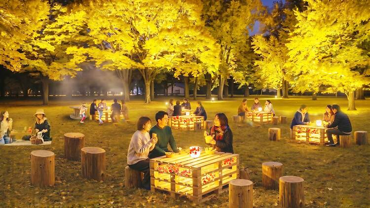 Flower and Light Movement: A Story in Autumn Colors – Koganei Park Flower and Light Movement: A Story in Autumn Colors – Koganei Park
