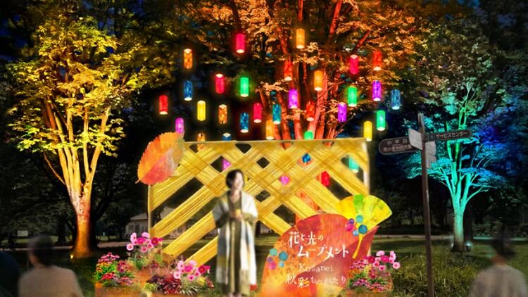 Flower and Light Movement: A Story in Autumn Colors – Koganei Park Flower and Light Movement: A Story in Autumn Colors – Koganei Park
