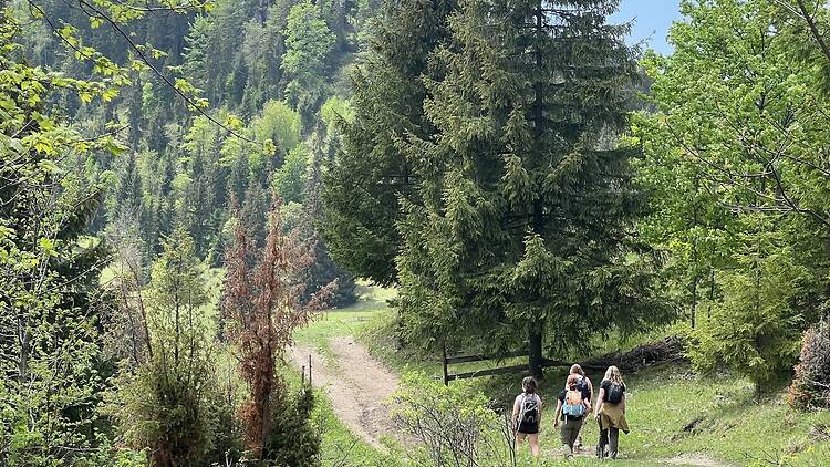 I hiked the ‘Camino of the East’ and discovered Europe’s next great walking destination I hiked the ‘Camino of the East’ and discovered Europe’s next great walking destination