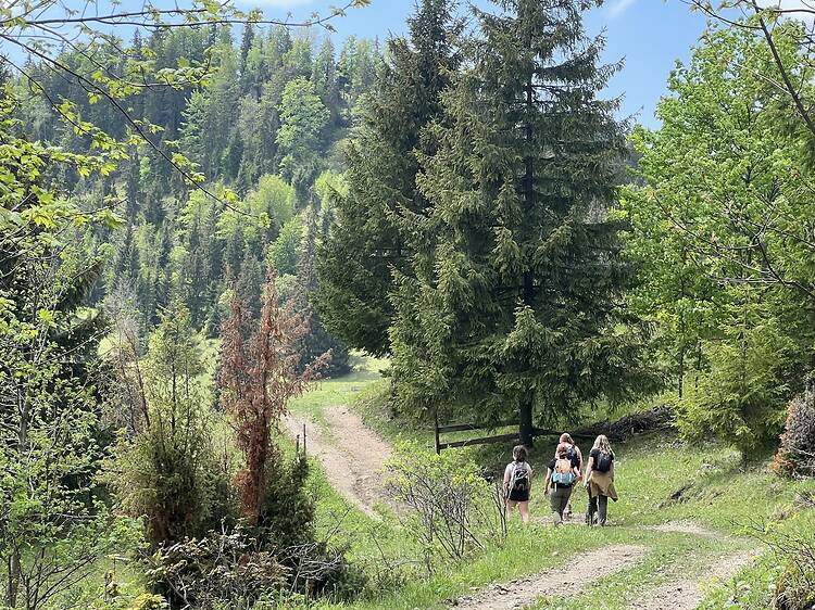 Walking the Via Transilvanica Walking the Via Transilvanica