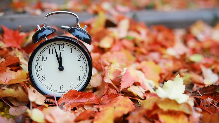 Alarm clock against autumn leaves