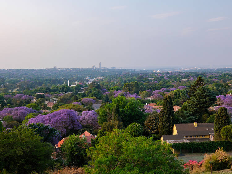 Out and About in Johannesburg: Best things to do this weekend Out and About in Johannesburg: Best things to do this weekend