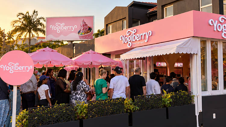 Have you tried a Yogiberry yet? If not, you're going to want to!