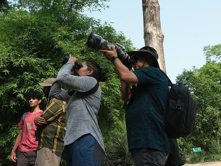 The best birdwatching spots in Delhi NCR The best birdwatching spots in Delhi NCR