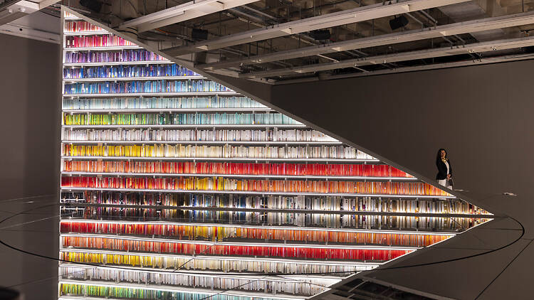 The Infinite Library The Infinite Library