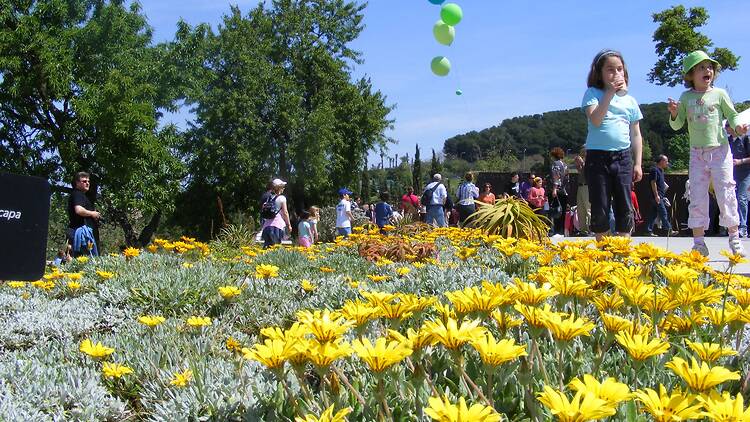 '¡Arrela’t en el Botánico! Fiesta del Otoño' en el Jardín Botánico de Barcelona