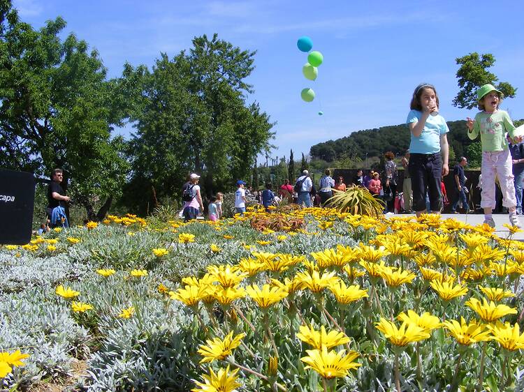 '¡Arrela’t en el Botánico! Fiesta del Otoño' en el Jardín Botánico de Barcelona