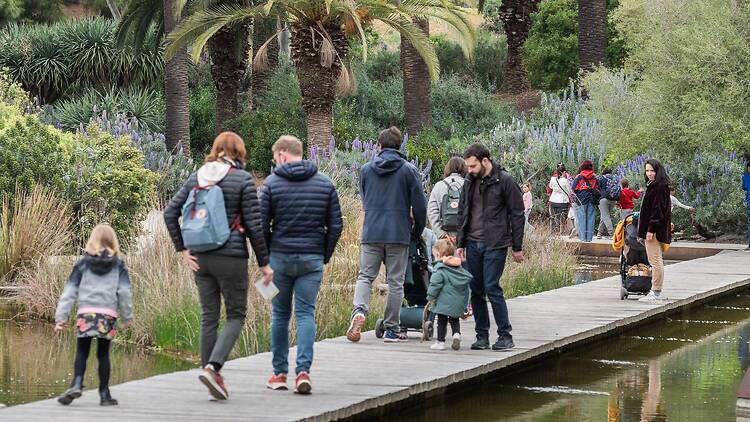 Jardí Botànic de Barcelona Jardí Botànic de Barcelona