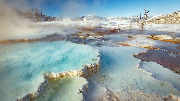 Mammoth Hot Springs at Yellowstone National Park Mammoth Hot Springs at Yellowstone National Park