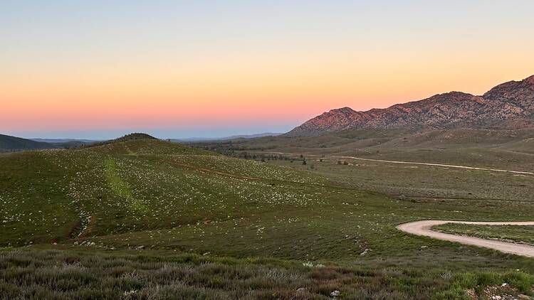 Pugilist Hill, Flinders Ranges Sunset at Pugilist Hill, Flinders Ranges