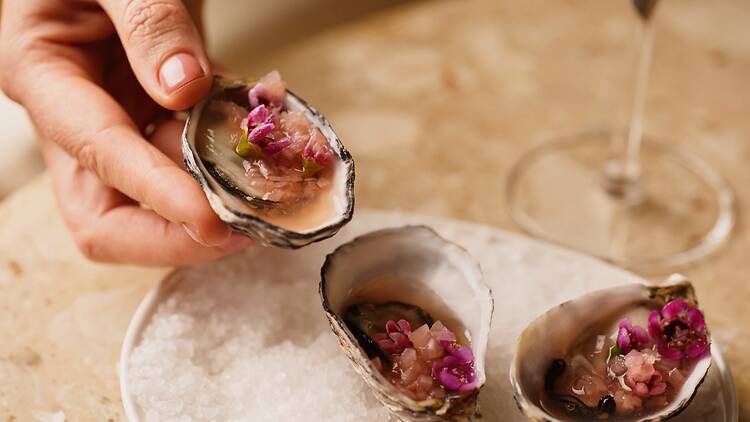 Close up of oysters dished up for dining at Crystalbrook Sam, Adelaide