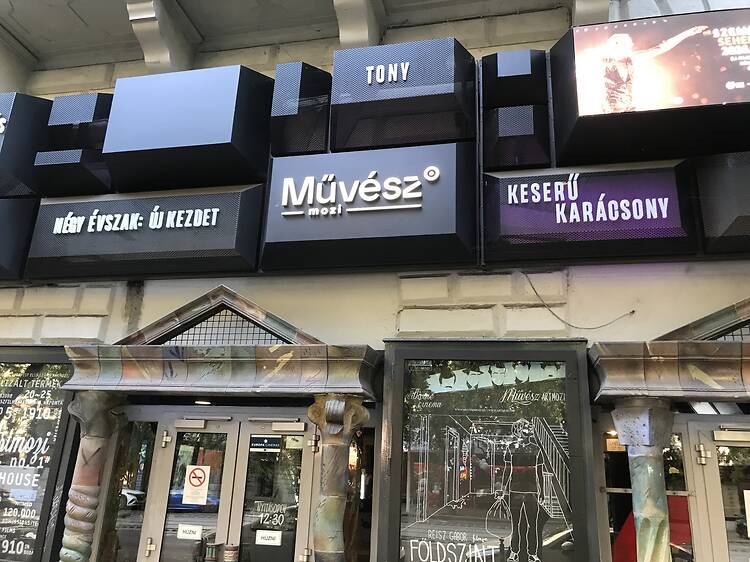 Művész Művész