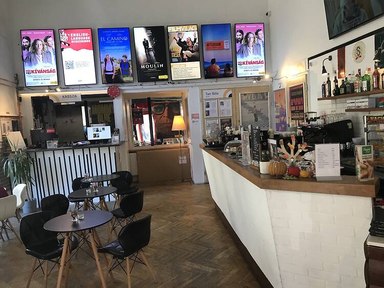 Kino Café Kino Café