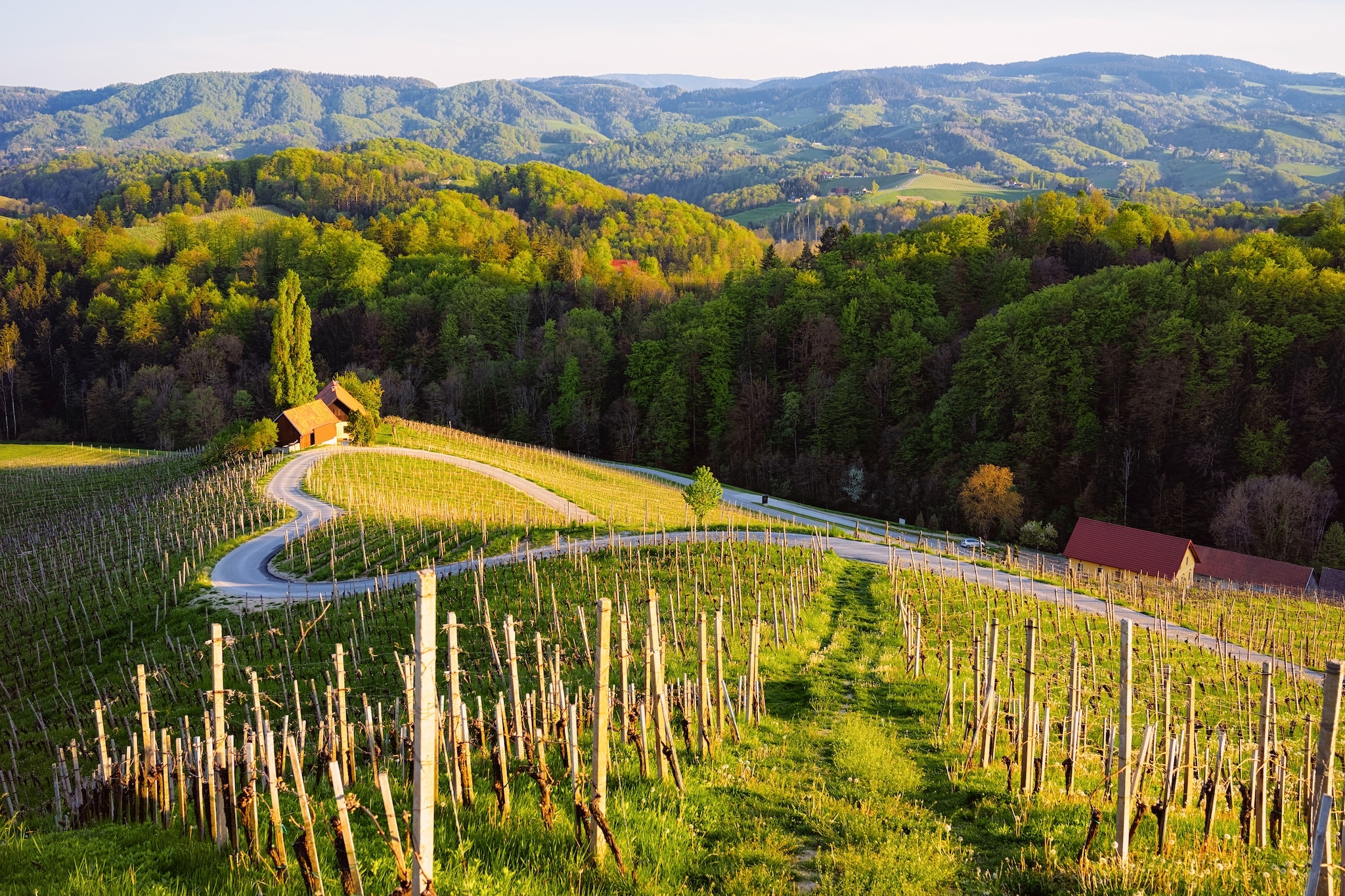 timeout.com - Roisin Teeling - Europe's best wine region has been crowned for 2027 - and it's not where you'd expect