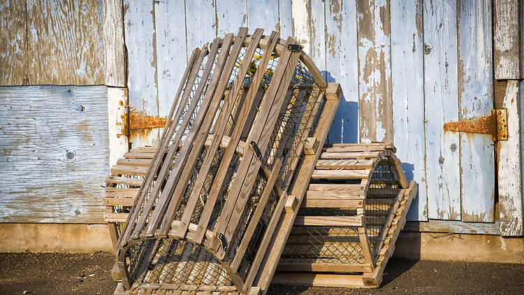 Portland, ME: Haul lobster traps Portland, ME: Haul lobster traps
