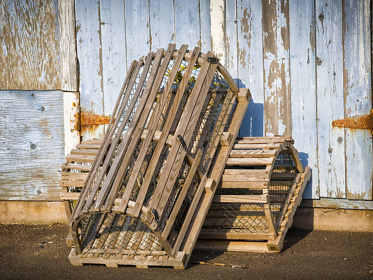 Portland, ME: Haul lobster traps Portland, ME: Haul lobster traps