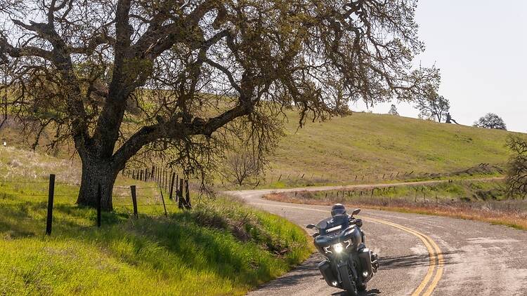 San Luis Obispo, CA: Take a vintage motorcyle to a wine tasting San Luis Obispo, CA: Take a vintage motorcyle to a wine tasting