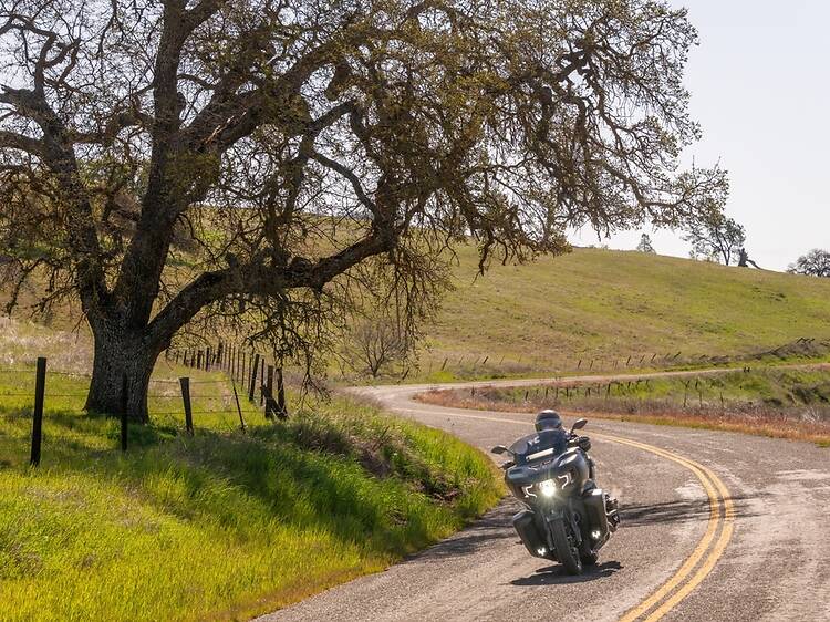 San Luis Obispo, CA: Take a vintage motorcyle to a wine tasting San Luis Obispo, CA: Take a vintage motorcyle to a wine tasting