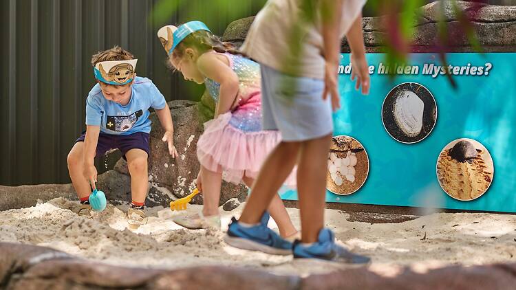 Kids playing in a sand pit