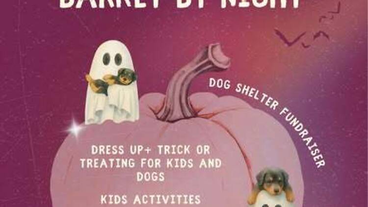 Barket by Night: Halloween Makeover Barket by Night: Halloween Makeover
