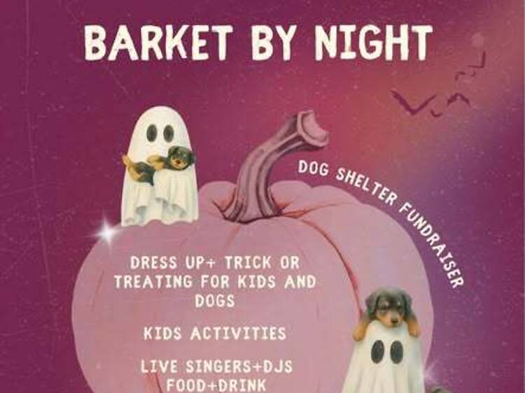 Barket by Night: Halloween Makeover Barket by Night: Halloween Makeover